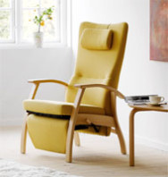 Gevaar Klein Salie Ergonomische stoelen - DatZitGoed.com
